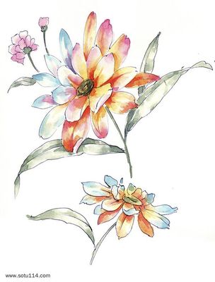 手繪花卉 筆尖綻放的藝術(shù)與情感