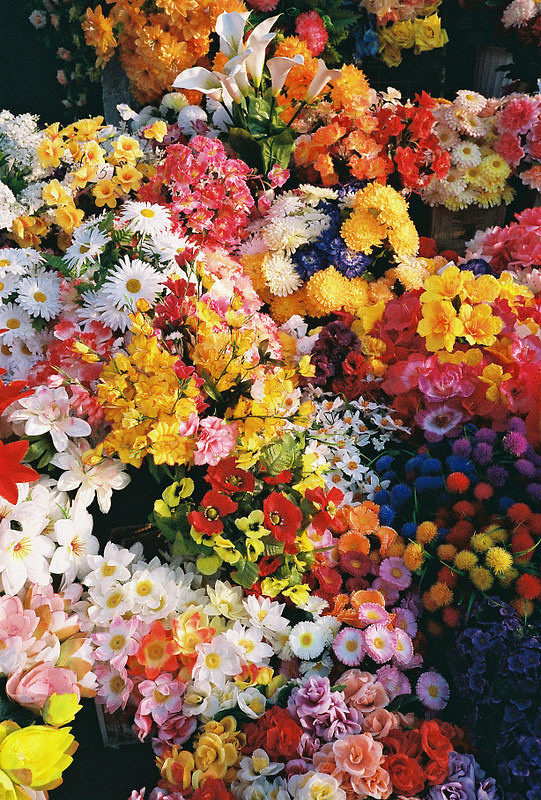 花團錦簇的盛宴——當絢爛花海遇見香甜水果